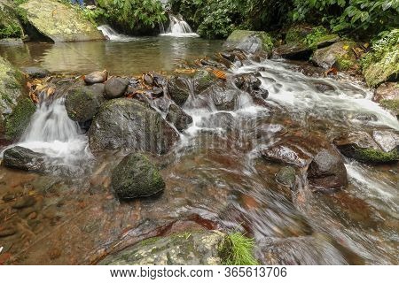 Rushing Water Flows Through Creek Bed In Rain Forest. Water Flow