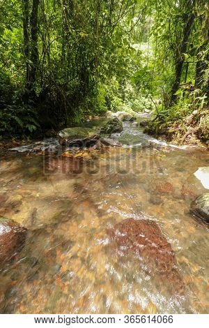 Rushing Water Flows Through Creek Bed In Rain Forest. Water Flow