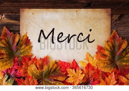Old Paper With Text Merci Means Thank You, Colorful Leaves Decoration