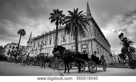 Seville, Spain - 10 February 2020 :black And White Photography Of Horses And Carriages Waiting For T