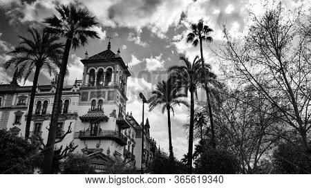 Seville, Spain - 10 February 2020 : Black And White Photography Ofarchitecture With Palm Trees In Be
