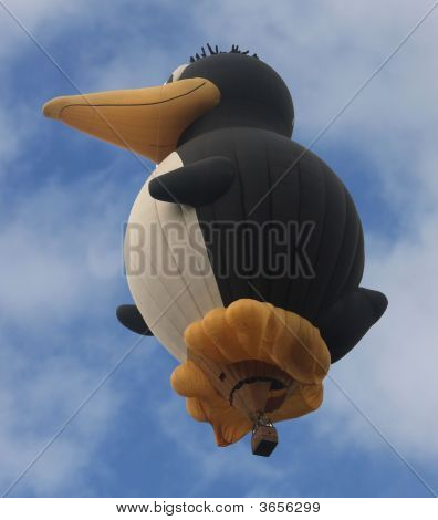 Pingouin volant