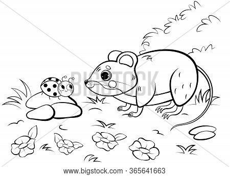 Coloring Page Outline Of Cute Cartoon Vole Or Mouse With Ladybug. Vector Image With Nature Backgroun