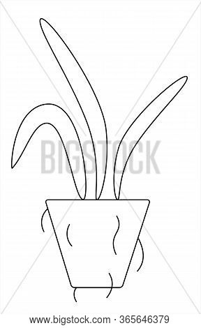 Plant For Transplanting, Soil, Leaves On A White Background Vector Illustration