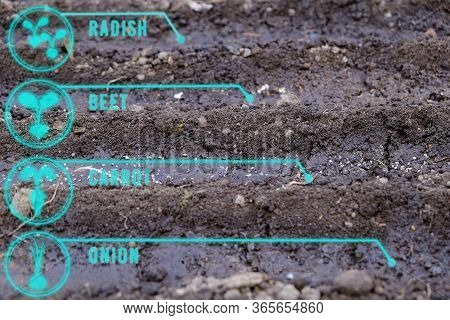 Smart Garden Farm Beds Or Seedbeds And Hint Of What Seeds To Plant Or Map Of Plantings, Virtual Or A