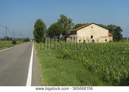 Country Landscape At Summer In The Reggio Emilia Province, Between Rubiera And Scandiano, Emilia-rom