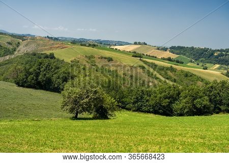 Country Landscape At Summer At Rivalta Di Lesignano Bagni, Parma, Emilia-romagna, Italy