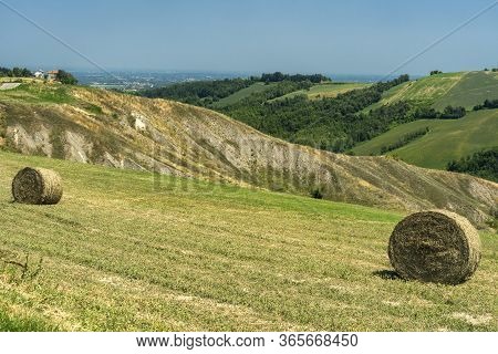 Country Landscape At Summer At Rivalta Di Lesignano Bagni, Parma, Emilia-romagna, Italy