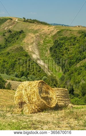 Country Landscape At Summer At Rivalta Di Lesignano Bagni, Parma, Emilia-romagna, Italy
