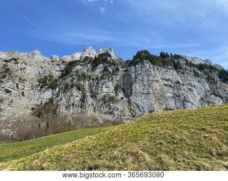 Alpine Peak Frümsel (fruemsel Oder Frumsel) In The Churfirsten Mountain Range, Between The Obertogge