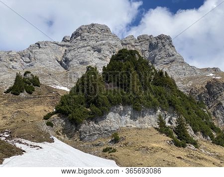 Alpine Peak Frümsel (fruemsel Oder Frumsel) In The Churfirsten Mountain Range, Between The Obertogge