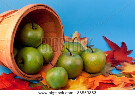 Autunno mele fuoriuscita dal secchio