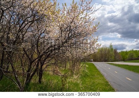 Early Spring Day In Elm Creek Park Reserve Of The Three Rivers Park District. Paved Trails And An Ar