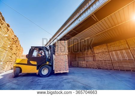 Forklift Loader Load Lumber Into A Dry Kiln. Wood Drying In Containers.