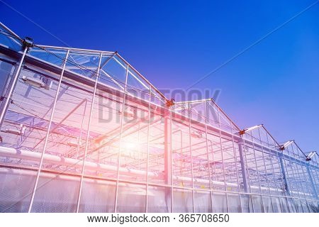 Modern Glass Greenhouses Against The Blue Sky.