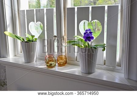 Flowers In Window Light In Swedish House