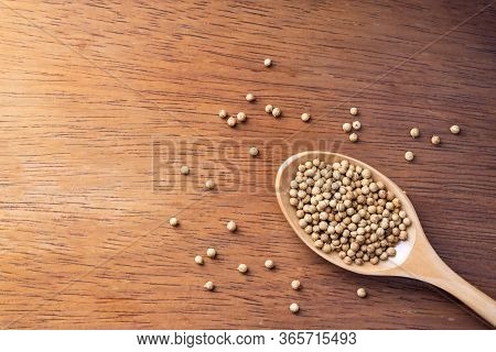 Coriander Seed, Spices, In Wooden Spoon On Rustic Wood Table Background, Copy Space