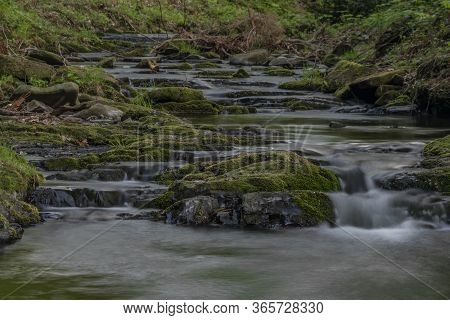 Lomna River In Trojanovice Village In Spring Hot Day
