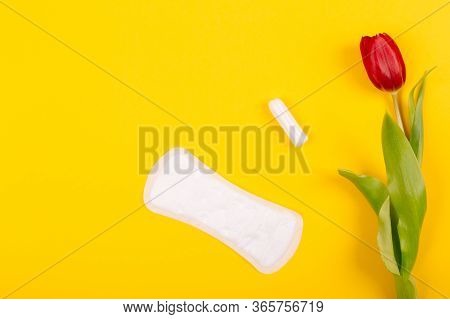 Women's Daily Sanitary Pad And Tampon For Special Days With A Red Tulip Flower On A Yellow Backgroun
