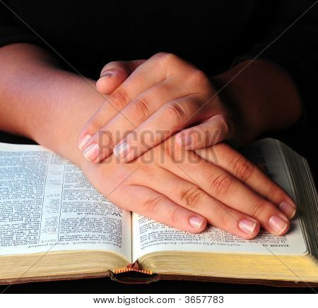 Studium bible