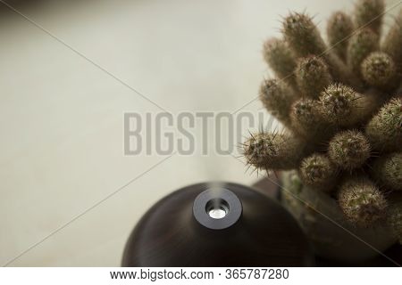 A Brown Wooden Aromatherapy Humidifier And Cactus Are On The Table.