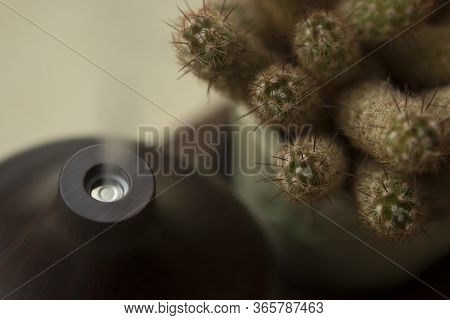 A Brown Wooden Aromatherapy Humidifier And Cactus Are On The Table.