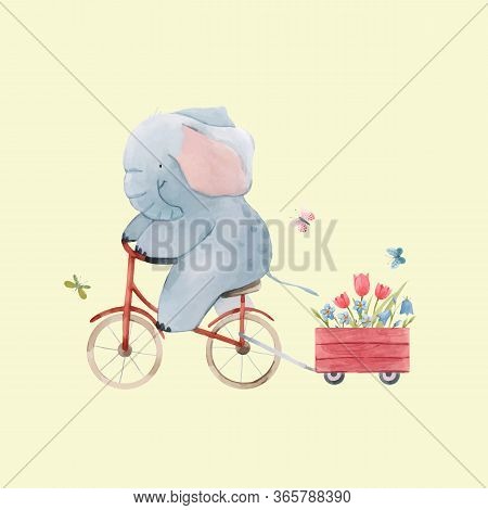 Beautiful Vector Stock Illustration With Cute Watercolor Baby Elephant On Bike. Animal With Bicycle 