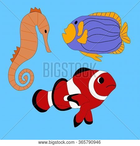 Set Of Ocean Fish On A Bkue Background In Vector Graphics, In A Flat Style. For The Design Of Zoolog