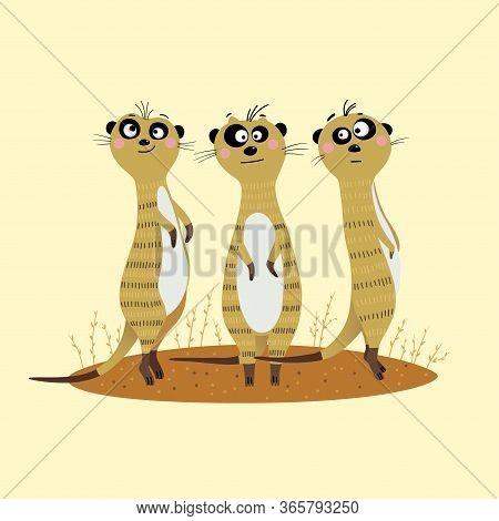 Vector Illustration Of Three Cute Meerkats Standing On The Sand And Looking Warily To The Side.