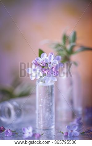 Lilac In A Small Jar. Micro Bunch. Still Life With Lilacs. Blooming Lilac