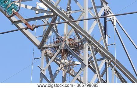 Crows Nest In High-voltage Electricity Pylon Against Blue Sky, The Netherlands