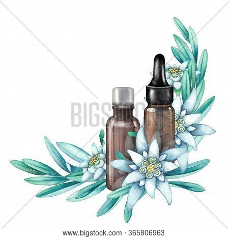 Watercolor Essential Oil Bottles Decorated With Edelweiss Leaves And Flowers.