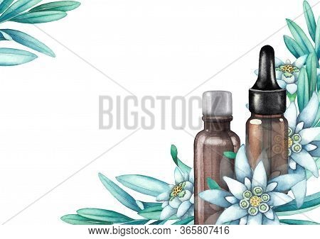 Watercolor Essential Oil Bottles Decorated With Edelweiss Leaves And Flowers