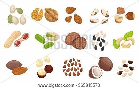 Nut Seed Set. Slices Nuts Pistachio Peanuts Brazilian Hazelnut Pumpkin Seeds Sunflower Flaxseed Almo