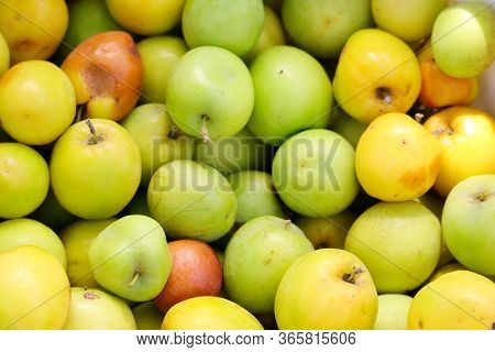 Close Up Of Jujube Fruits Background Theme
