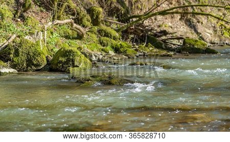 Closeup Scenery At The Kupfer River In Southern Germany At Early Spring Time