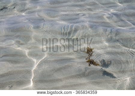 Clean An Clear Shallow Water Of The City Beach With A Sandy Bottom. Texture Of A Small Waves And Sun