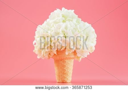 White Flowers In A Waffle Cone Of Ice Cream On A Pink Background.