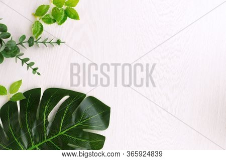 Nature Background Frame With Green Leaves For Design Elements, Summer Background. Sopy Space