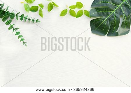 Nature Background Frame With Green Leaves For Design Elements, Summer Background. Sopy Space