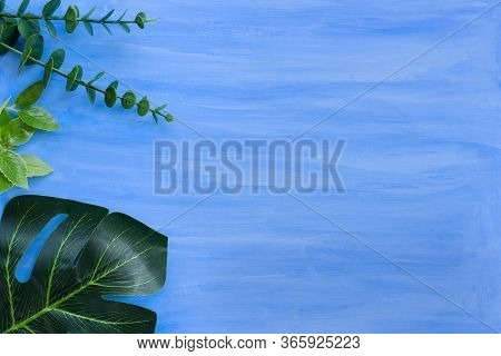 Nature Blue Background Frame With Green Leaves For Design Elements, Summer Background. Sopy Space