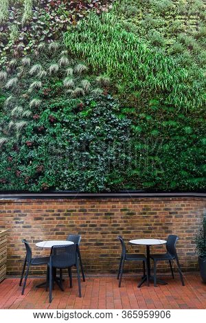 Green Wall In Loft Cafe Interior. Eco Architecture. Ecology And Green Living In An Urban City Enviro
