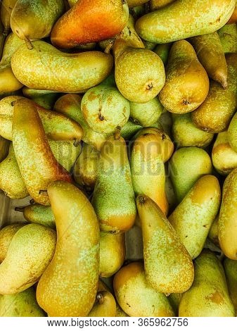 Lots Of Ripe Sweet Pears To Eat Like A Background