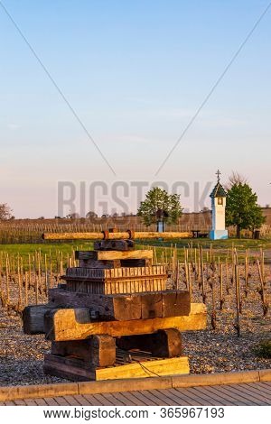 Vineyards near Velke Bilovice in Southern Moravia, Czech Republic