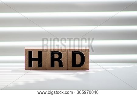 Word Hrd Made With Wood Building Blocks,stock Image