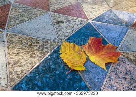 Fallen Autumn Leaves On A Decorative Polished Tile On A Sunny Day. Natural Granite Triangular Tile O
