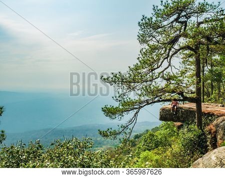 Beautiful Scenery View Of Lomsak Cliff On Phu Kradueng Mountain National Park In Loei City Thailand.