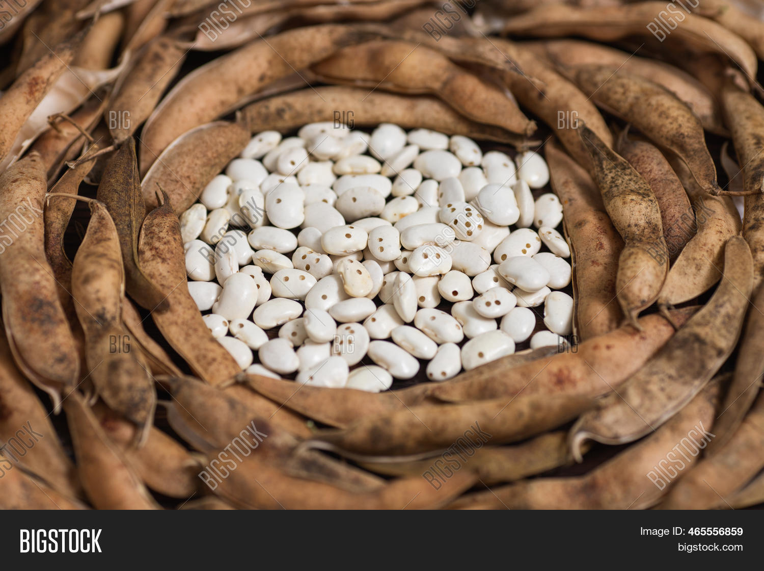 Holes Bean Beans Image & Photo (Free Trial) Bigstock