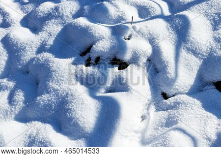 Freshly Fallen Snow Covered Fallen Leaves Brightly Lit By Sun