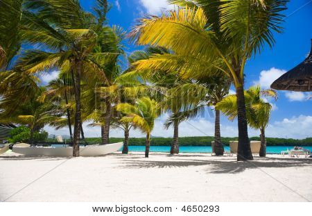 รีสอร์ทหรู